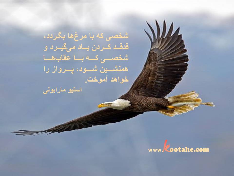 شخصی که با مرغ ها بگردد،قدقد کردن یاد میگیرد و شخصی که با عقاب ها همنشین شود،پرواز را خواهد آموخت. استیو مارابولی